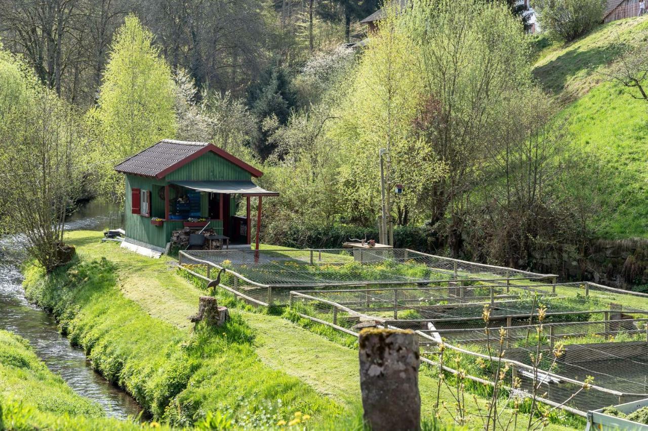 Hotel Roessle Berneck Altensteig Buitenkant foto